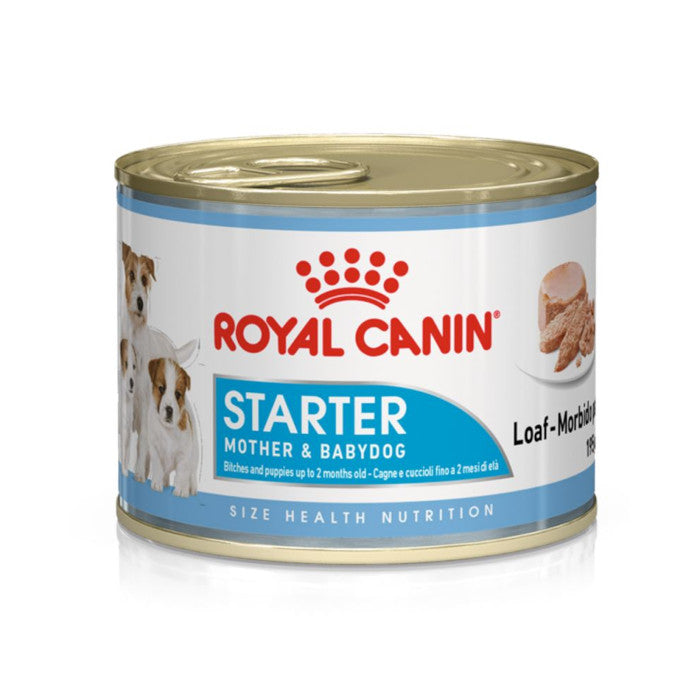 Royal Canin Starter Mother & BabyDog 195 Gr Royal Canin Starter Mother & BabyDog 195 Gr